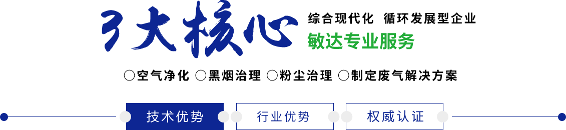 一级黄片免费干逼操逼语音视频说话的敏达环保科技（嘉兴）有限公司